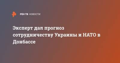 Владимир Зеленский - Виктор Мураховский - Эксперт дал прогноз сотрудничеству Украины и НАТО в Донбассе - ren.tv - Украина - Киев - Грузия