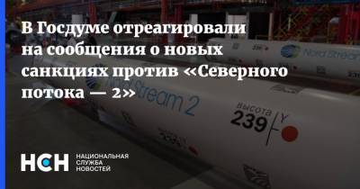Владимир Гутенев - В Госдуме отреагировали на сообщения о новых санкциях против «Северного потока — 2» - nsn.fm