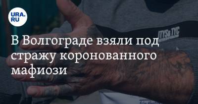 В Волгограде взяли под стражу коронованного мафиози - ura.news - Турция - Волгоград - Волгоградская обл. - Анталья