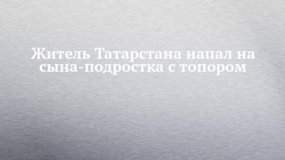 Житель Татарстана напал на сына-подростка с топором - chelny-izvest.ru - респ. Татарстан - Казань