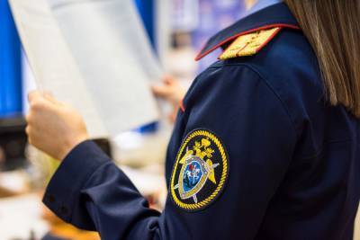 В Архангельске задержана подозреваемая в покушении на убийство дочери - arh.mk.ru - Архангельск