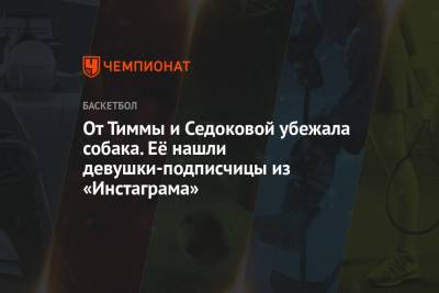 Анна Седокова - От Тиммы и Седоковой убежала собака. Её нашли девушки-подписчицы из «Инстаграма» - championat.com