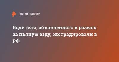 Водителя, объявленного в розыск за пьяную езду, экстрадировали в РФ - ren.tv - Армения - Ереван