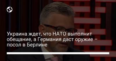 Андрей Мельник - Украина ждет, что НАТО выполнит обещание, а Германия даст оружие – посол в Берлине - liga.net - Киев - Берлин - г. Бухарест