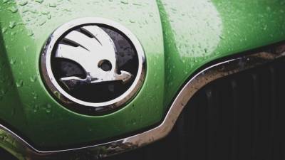 Компания Skoda предложила россиянам автомобильную подписку - newinform.com - Москва