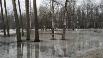В Петербурге после просушки открыли девять парков и садов - delovoe.tv - Санкт-Петербург - Петербург
