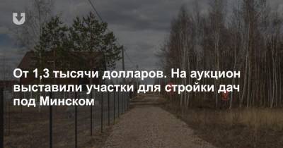 От 1,3 тысячи долларов. На аукцион выставили участки для стройки дач под Минском - news.tut.by - Минск - Минская обл.