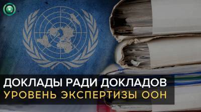 Как и зачем «независимые эксперты» ООН штампуют ангажированные доклады - riafan.ru - Сомали