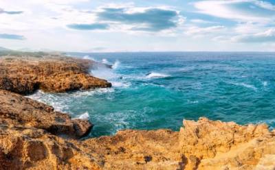 «Троянский конь» для Акамаса - vkcyprus.com - Кипр