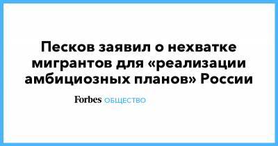 Дмитрий Песков - Песков заявил о нехватке мигрантов для «реализации амбициозных планов» России - forbes.ru - Россия - Строительство
