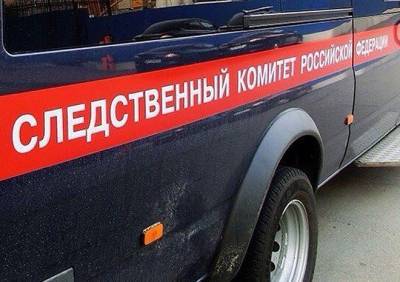 Стали известны подробности убийства в рязанском селе - ya62.ru - Рязанская обл. - Рязань - район Рязанский