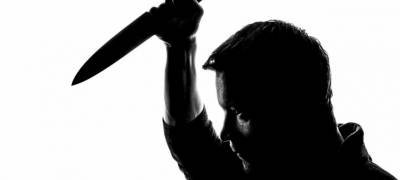 Житель Петрозаводска нанес собутыльнику 2 удара ножом и отправился на 3 года за решетку - stolicaonego.ru - Петрозаводск - район Прионежский