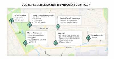В Кудрово высадят более 300 деревьев и 10 тысяч цветов - ivbg.ru - Благоустройство - Ленобласть