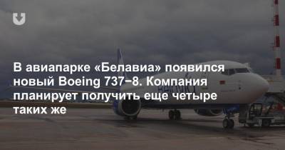 В авиапарке «Белавиа» появился новый Boeing 737−8. Компания планирует получить еще четыре таких же - news.tut.by - Минск