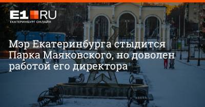 Алексей Орлов - Артем Устюжанин - Мэр Екатеринбурга стыдится Парка Маяковского, но доволен работой его директора - e1.ru - Узбекистан - Екатеринбург