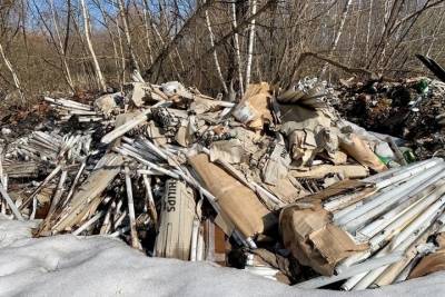 В Тульской области обнаружена свалка ртутных ламп первого класса опасности - tula.mk.ru - Тула - Тульская обл.