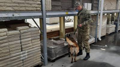 Массовое "минирование" в Харькове: осмотрели "Эпицентры" и несколько отделений "Новой почты" - 24tv.ua - Харьков