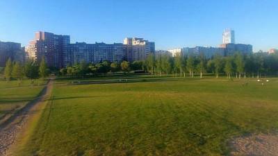 Часть парков Петербурга открылась для посещения после весенней просушки - inforeactor.ru - Санкт-Петербург