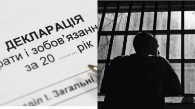 Владимир Зеленский - Евгения Кравчук - Александр Тупицкий - Нардепам, которые врут в декларациях, грозит тюрьма, – Кравчук о новом законопроекте - 24tv.ua - Новости