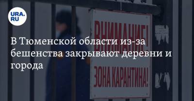 В Тюменской области из-за бешенства закрывают деревни и города. Карта - ura.news - Тюменская обл. - Ялуторовск