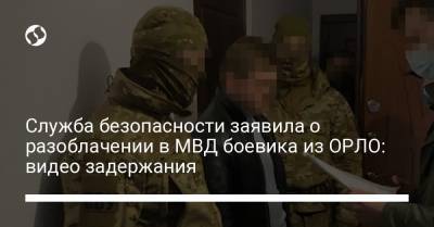 Служба безопасности заявила о разоблачении в МВД боевика из ОРЛО: видео задержания - liga.net - Херсонская обл.