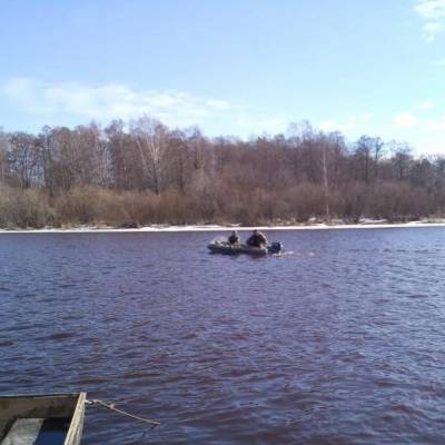 На территории Гладышевского заказника от браконьеров спасли около 2000 особей миноги - ivbg.ru - Ленинградская обл. - Санкт-Петербург