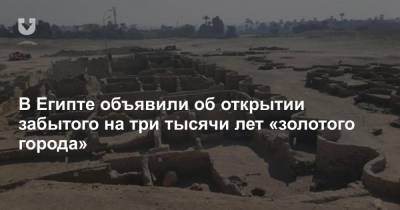 Джонс Хопкинс - В Египте объявили об открытии забытого на три тысячи лет «золотого города» - news.tut.by - Египет