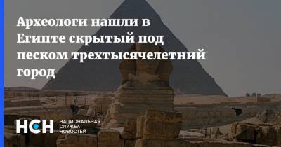 Захи Хавасс - Археологи нашли в Египте скрытый под песком трехтысячелетний город - nsn.fm - Египет