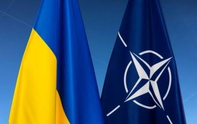 Александр Винников - В НАТО объяснили, влияет ли война на Донбассе на путь Украины в Альянс - korrespondent.net - Украина - Kiev