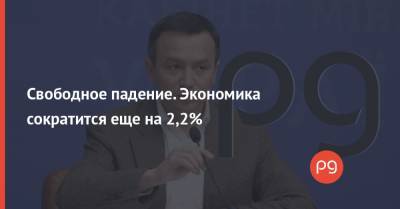 Игорь Петрашко - Свободное падение. Экономика сократится еще на 2,2% - thepage.ua - Кабинет Министров