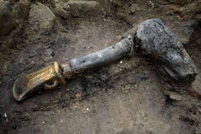 В Польше фермер случайно раскопал древнюю братскую могилу - lenta.ua - Польша