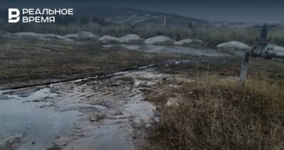 В Бугульминском районе РТ обнаружили разлив нефтепродуктов в 100 метрах от реки Кудаш - realnoevremya.ru - респ. Татарстан - район Бугульминский