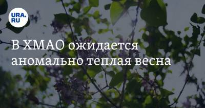 В ХМАО ожидается аномально теплая весна - ura.news - Ханты-Мансийск - Югра - Нижневартовск - окр. Уральский