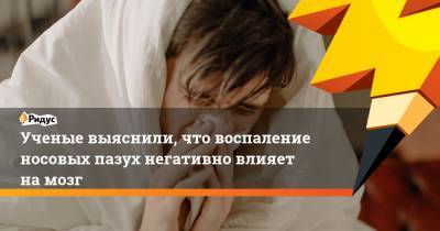 Ученые выяснили, что воспаление носовых пазух негативно влияет на мозг - ridus.ru