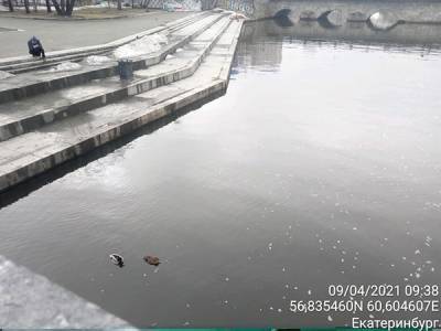 В мэрии Екатеринбурга рассказали о подозрительных выбросах в реку Исеть - nakanune.ru - Екатеринбург
