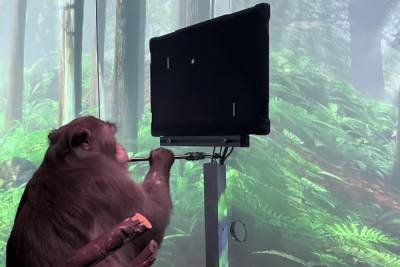 Илон Маск - Стартап Neuralink Илона Маска показал обезьяну с вживленным чипом, играющую в пинг-понг силой мысли [Видео] - itc.ua