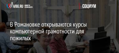 В Романовке открываются курсы компьютерной грамотности для пожилых - ivbg.ru - Ленинградская обл.
