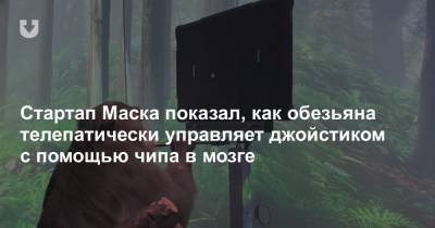 Стартап Маска показал, как обезьяна телепатически управляет джойстиком с помощью чипа в мозге - news.tut.by
