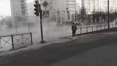 "Там жуткая авария". Очевидец показал последствия прорыва трубы на проспекте Художников - piter.tv - Санкт-Петербург
