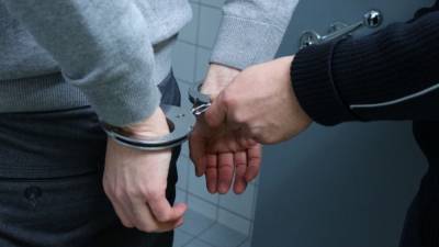 Житель Приозерска надругался над мальчиком в кустах - polit.info - Ленинградская обл. - Приозерск