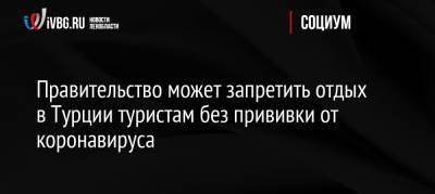 Татьяна Голикова - Михаил Мишустин - Правительство может запретить отдых в Турции туристам без прививки от коронавируса - ivbg.ru - Россия - Турция