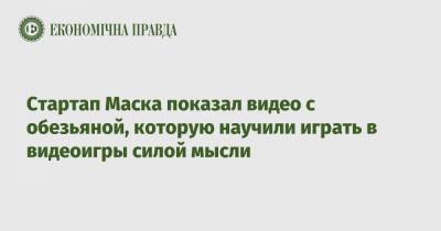 Стартап Маска показал видео с обезьяной, которую научили играть в видеоигры силой мысли - epravda.com.ua
