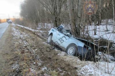 8 апреля во влетевшей в дерево легковушке под Алексином погибли два человека - tula.mk.ru - Тульская обл.