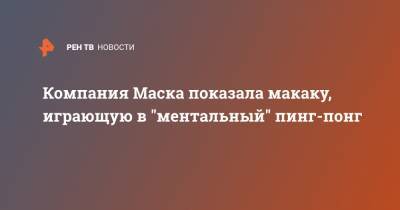 Илон Маск - Илона Маску - Компания Маска показала макаку, играющую в "ментальный" пинг-понг - ren.tv