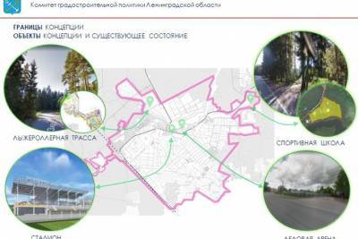 Рощино станет спортивной столицей Ленобласти - ivbg.ru - Ленинградская обл.