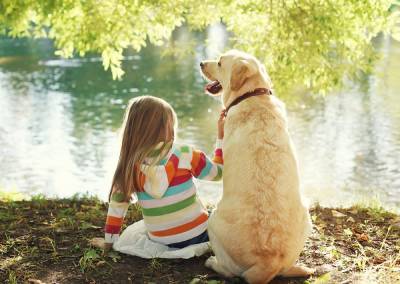 Домашний любимец в семье: каких особенностей обращения с животным должны научить детей родители - 24tv.ua