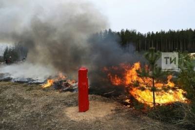 За сжигание травы хозяйства Татарстана оставят без субсидий - kazan.mk.ru - респ. Татарстан