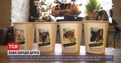 В Днепре кофейня на своих чашках рекламирует собак из приюта, которые ищут хозяев - tsn.ua - Днепр