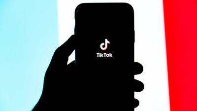 Василий Пискарев - В TikTok заявили о готовности бороться с незаконными публикациями - vesti.ru