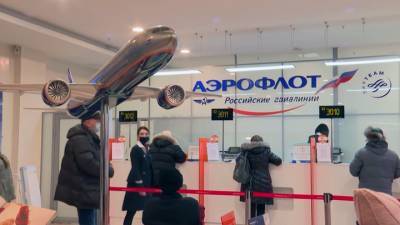 Михаил Полубояринов - "Аэрофлот" намерен к июню вернуть к полетам весь авиапарк - vesti.ru